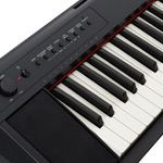 Digital Pianos (MT)